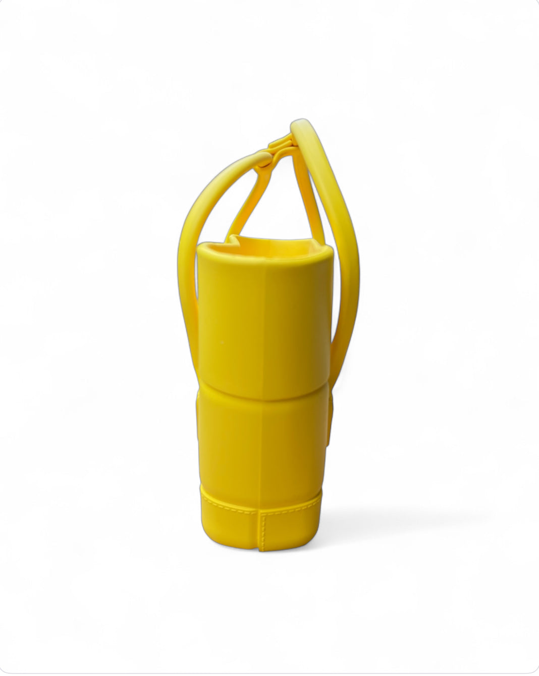 Bottega Veneta borsa