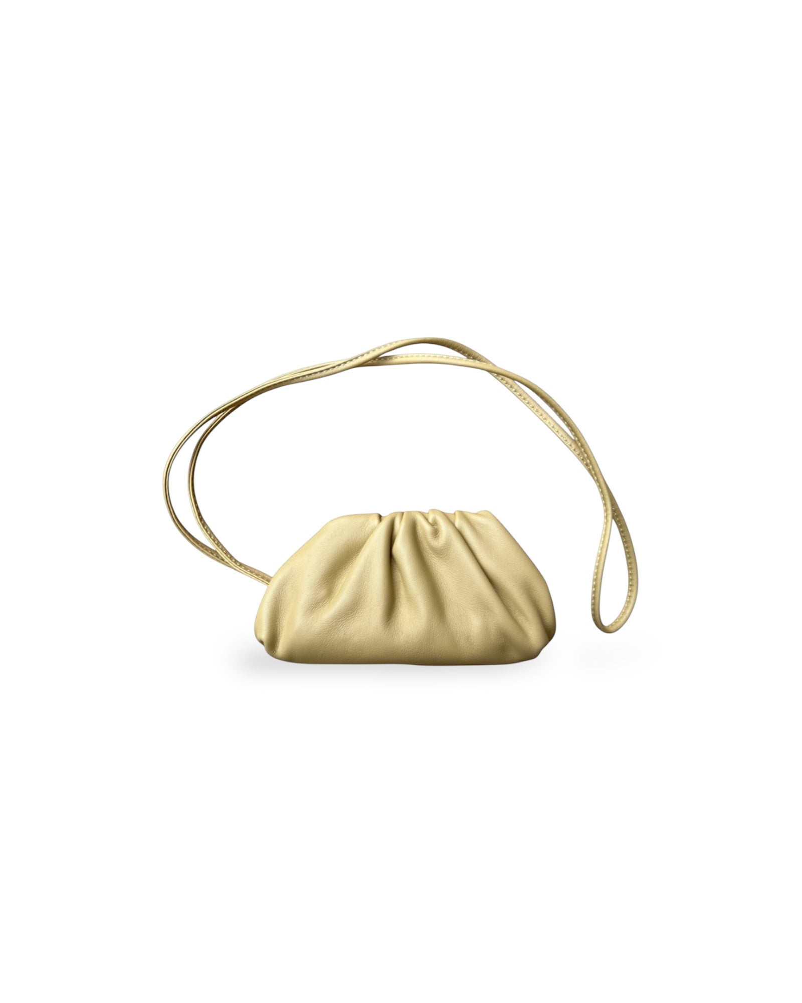 Bottega Veneta handbag